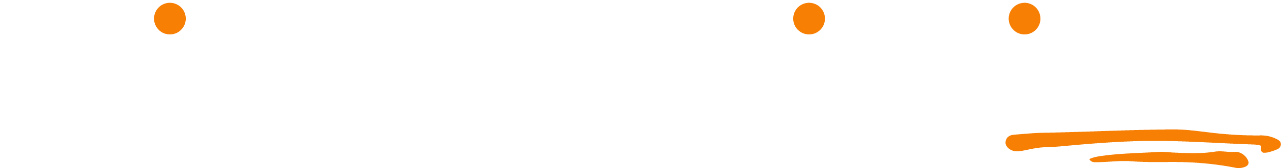 PrivateEquityInfo_Logo_2023_White